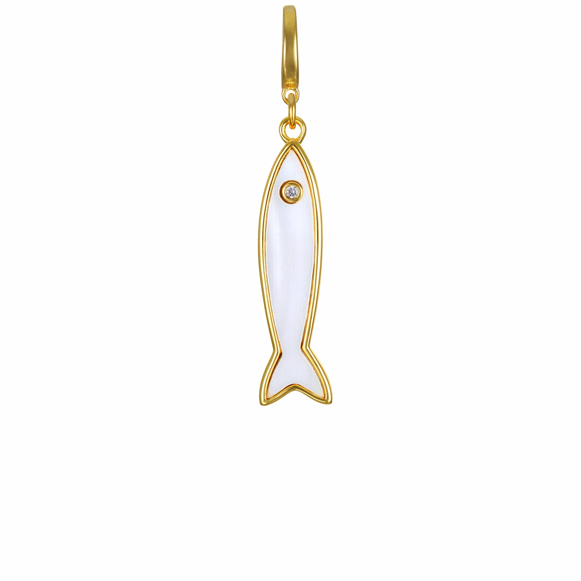 Cisco Clip-On Charm