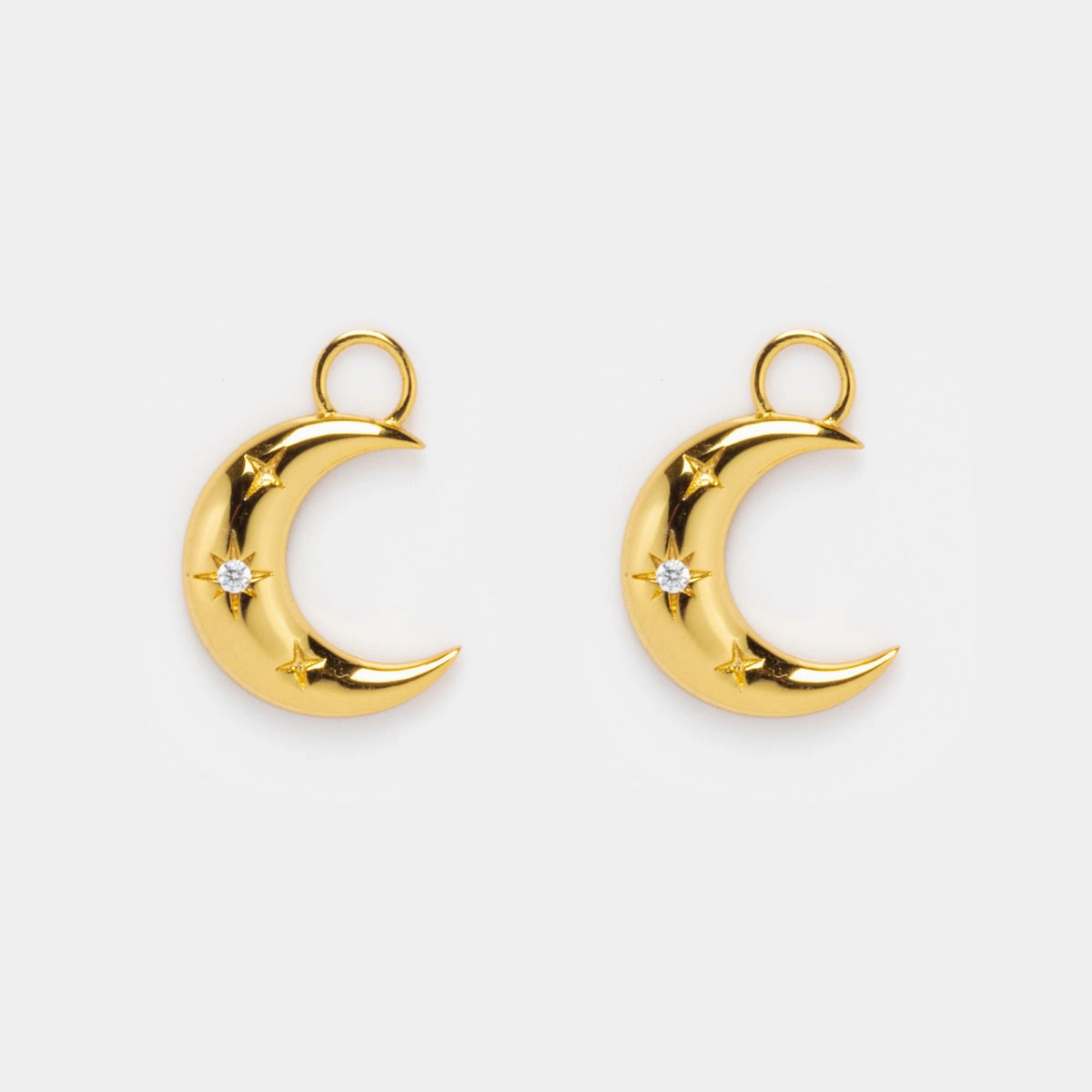 Earring Charms