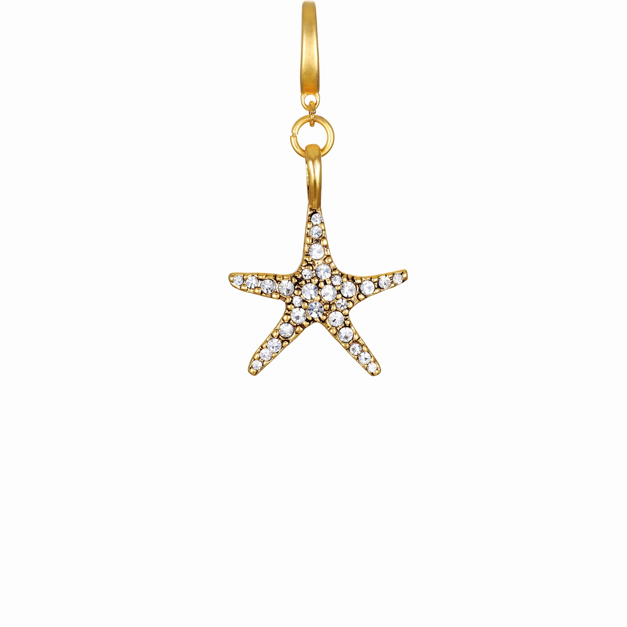 Mini Pav Starfish Clip-On Charm