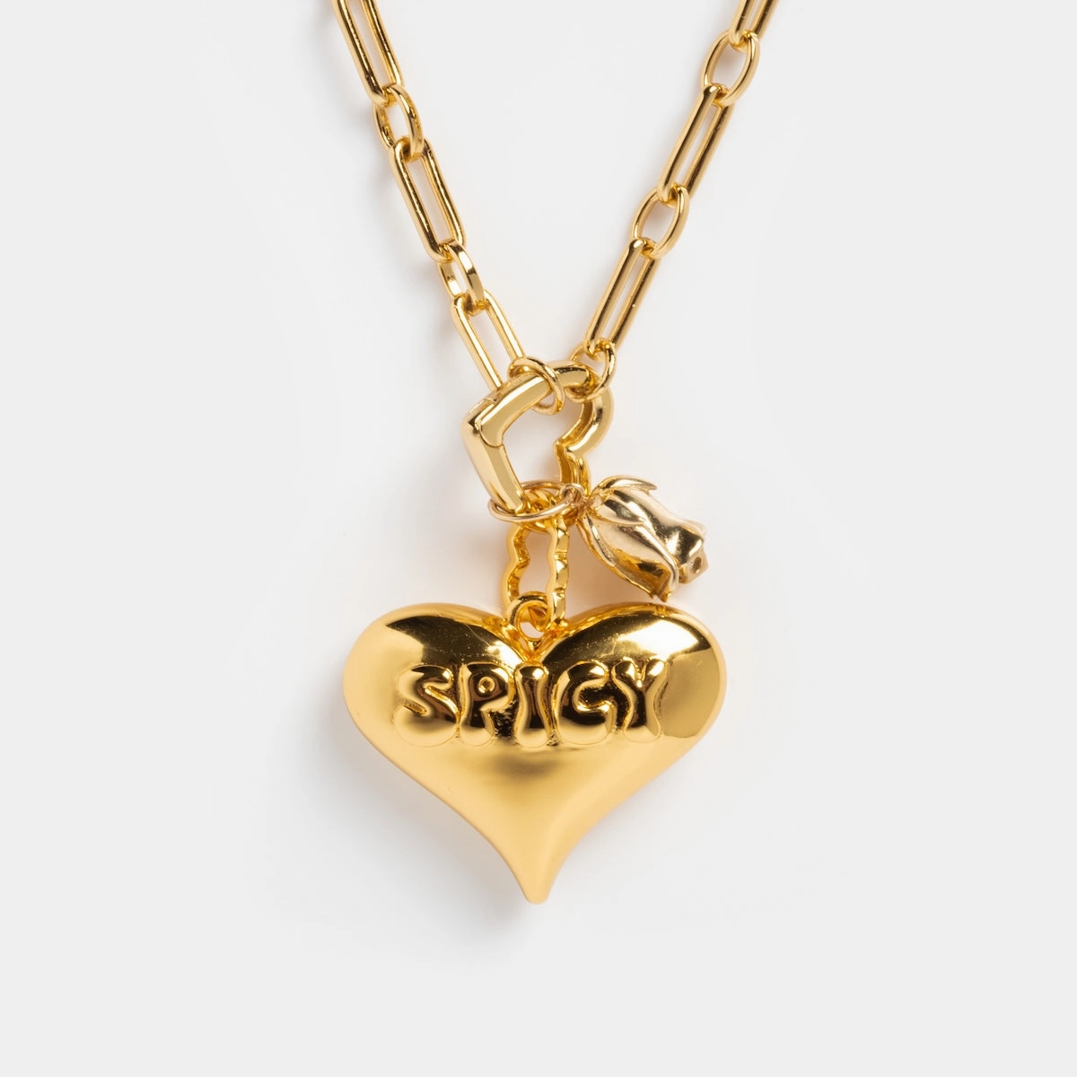 Perfect Start Charm Holder Necklace
